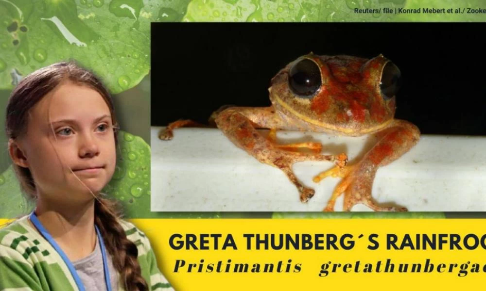 Παναμάς: Ανακαλύφθηκε νέο είδος βατράχου-Πήρε το όνομα γνωστής ακτιβίστριας